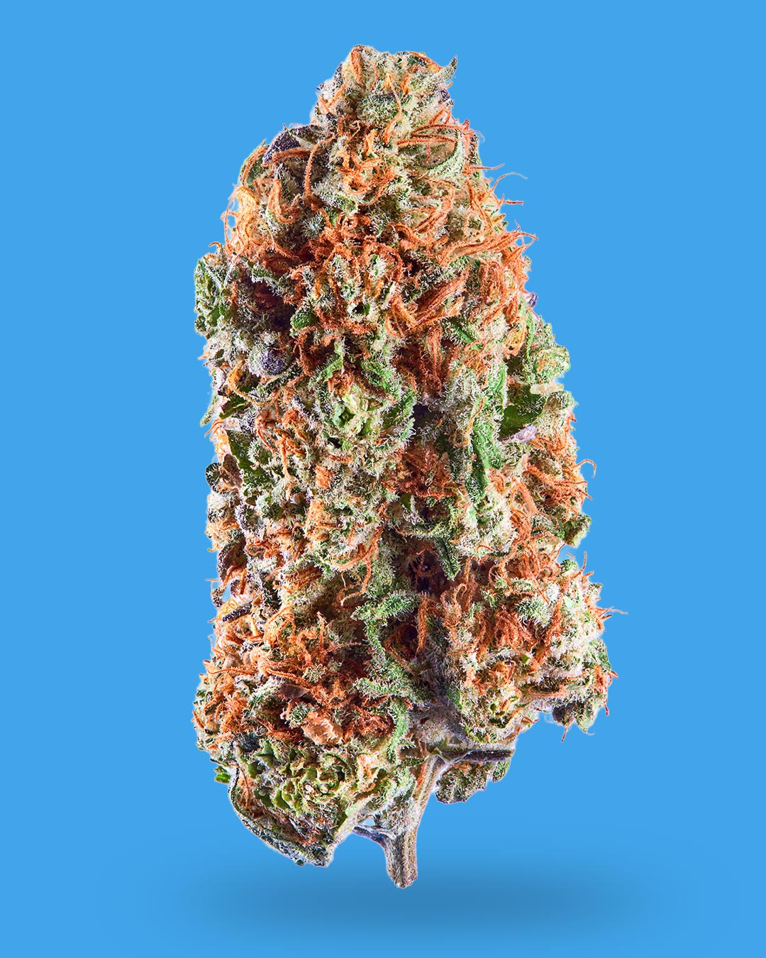 Cotton Candy