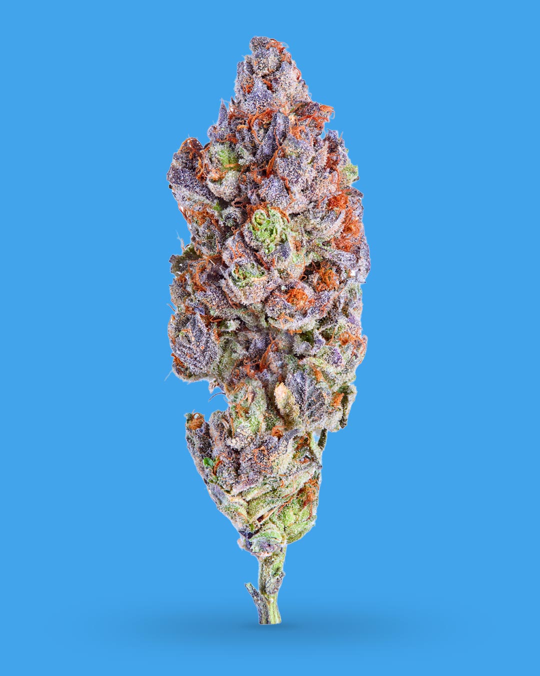 Granny Candy