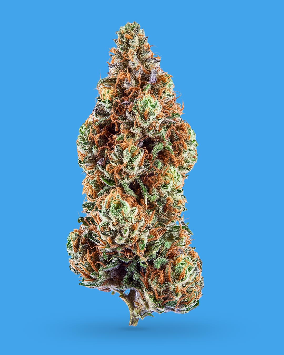 Flor Sour Banana